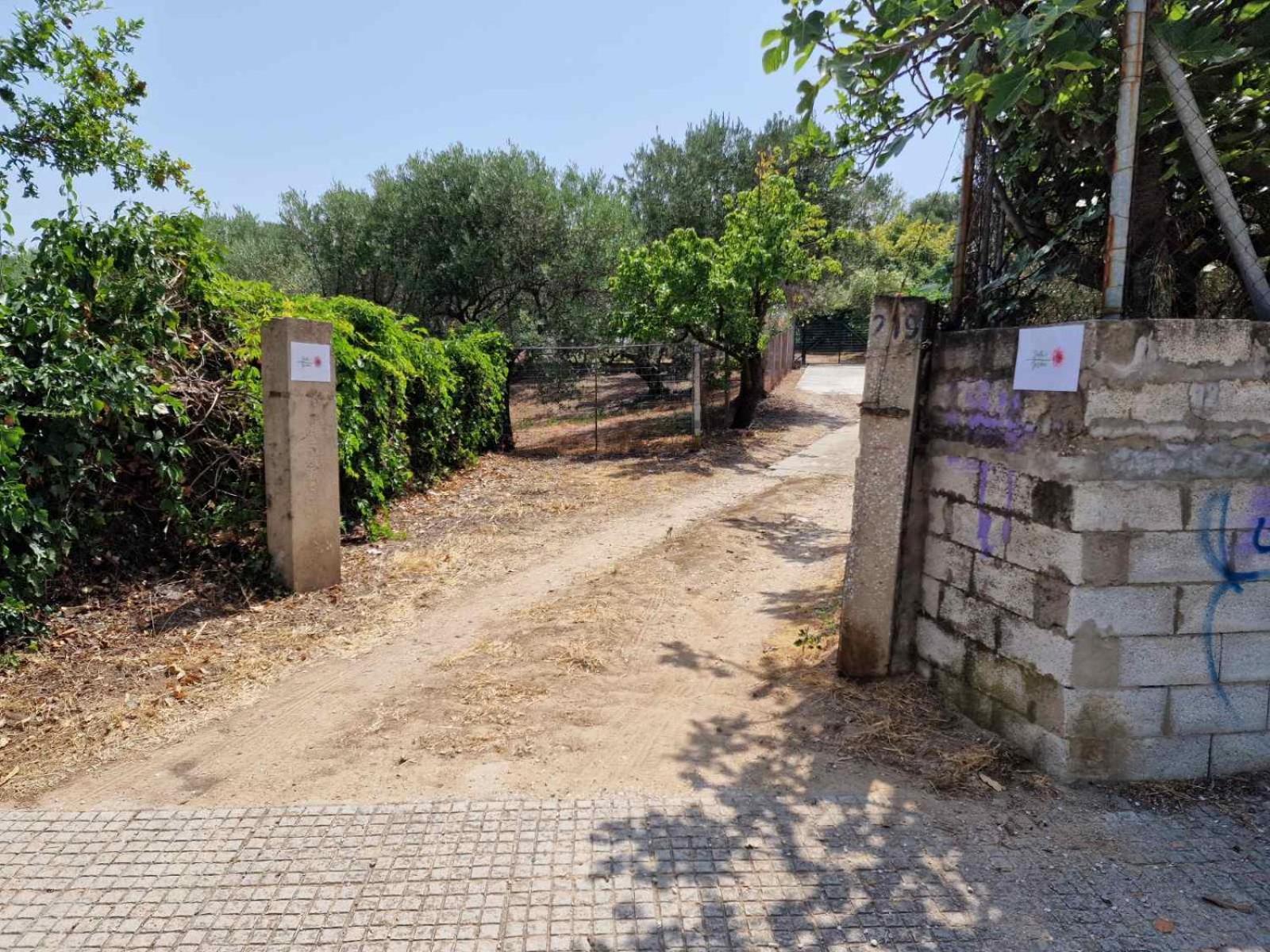 הוילה PalaiónTsiflíkion Stella'S Garden מראה חיצוני תמונה