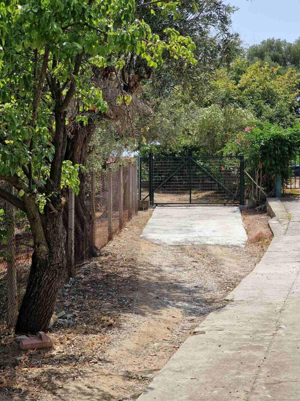 הוילה PalaiónTsiflíkion Stella'S Garden מראה חיצוני תמונה